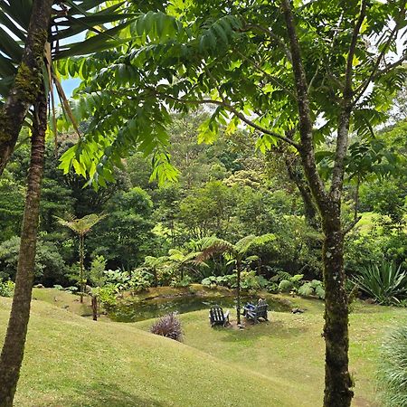 Monteverde Casa Mia, Near Main Attractions And Town! Bagian luar foto