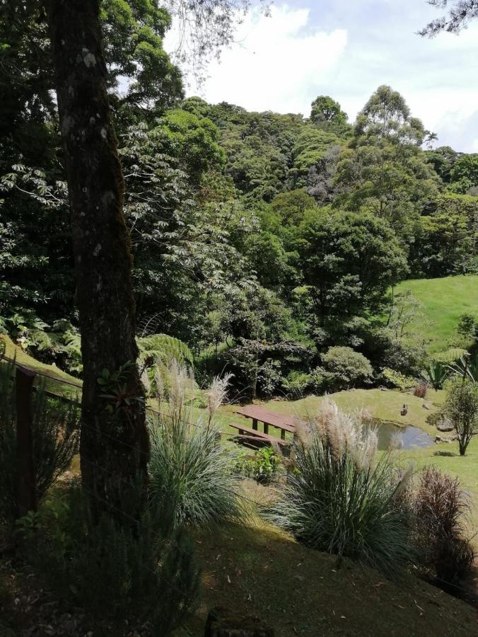 Monteverde Casa Mia, Near Main Attractions And Town! Bagian luar foto