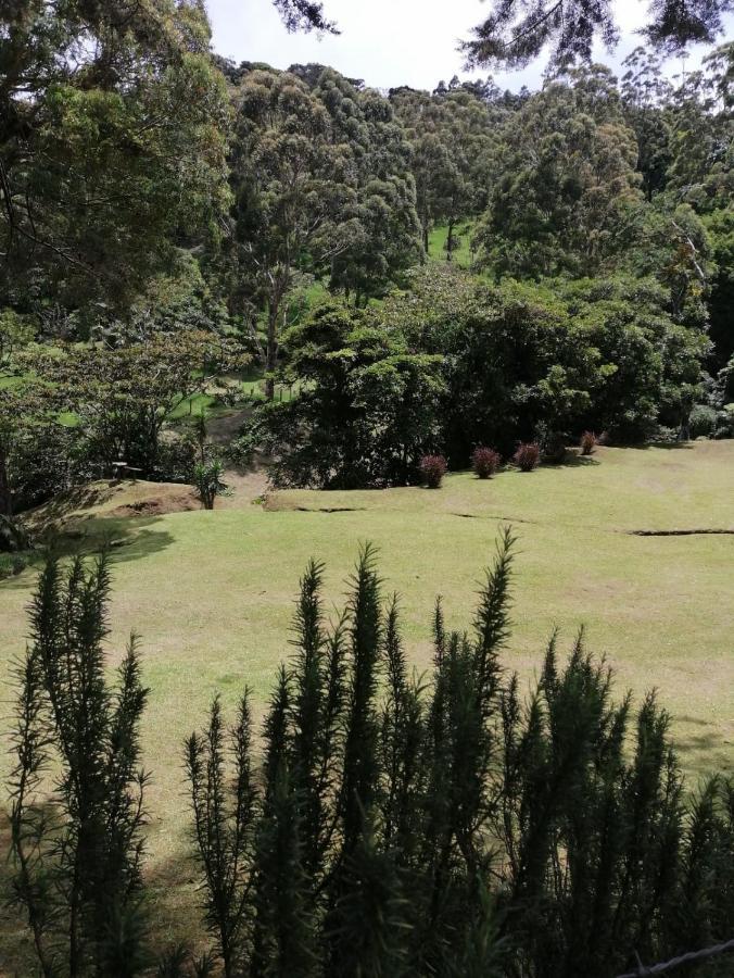 Monteverde Casa Mia, Near Main Attractions And Town! Bagian luar foto