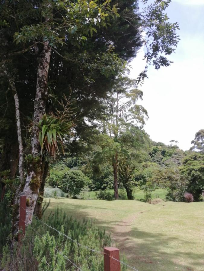 Monteverde Casa Mia, Near Main Attractions And Town! Bagian luar foto