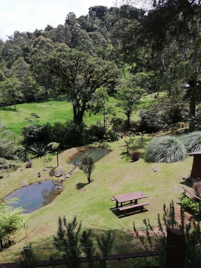 Monteverde Casa Mia, Near Main Attractions And Town! Bagian luar foto