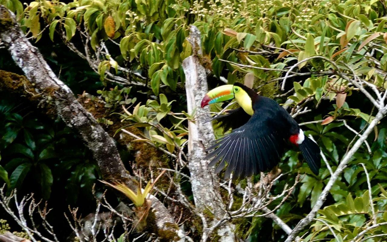 Monteverde Casa Mia, Near Main Attractions And Town! Bagian luar foto