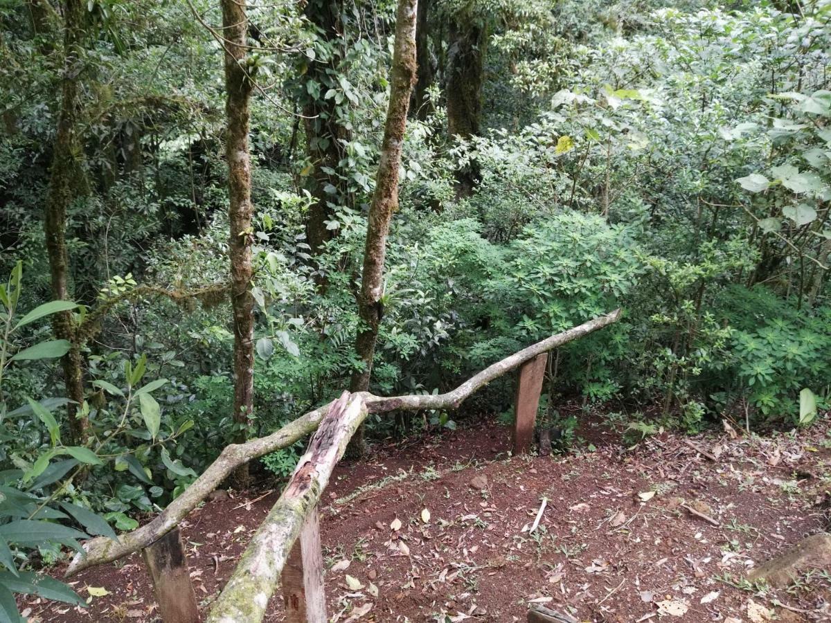 Monteverde Casa Mia, Near Main Attractions And Town! Bagian luar foto