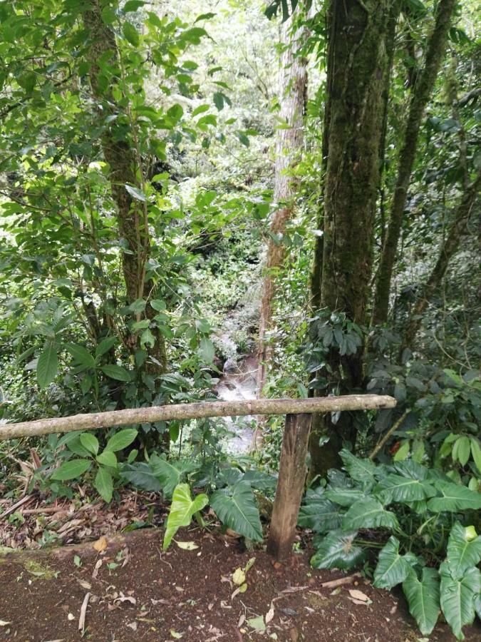Monteverde Casa Mia, Near Main Attractions And Town! Bagian luar foto
